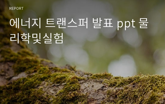 에너지 트랜스퍼 발표 ppt 물리학및실험