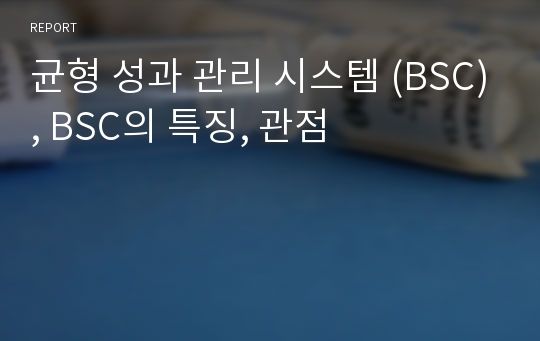 균형 성과 관리 시스템 (BSC), BSC의 특징, 관점