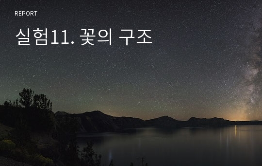 실험11. 꽃의 구조