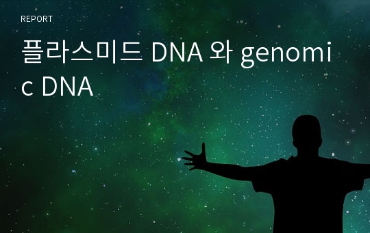 플라스미드 DNA 와 genomic DNA