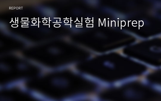 생물화학공학실험 Miniprep