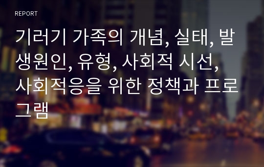 기러기 가족의 개념, 실태, 발생원인, 유형, 사회적 시선, 사회적응을 위한 정책과 프로그램