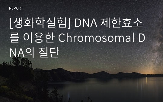 [생화학실험] DNA 제한효소를 이용한 Chromosomal DNA의 절단