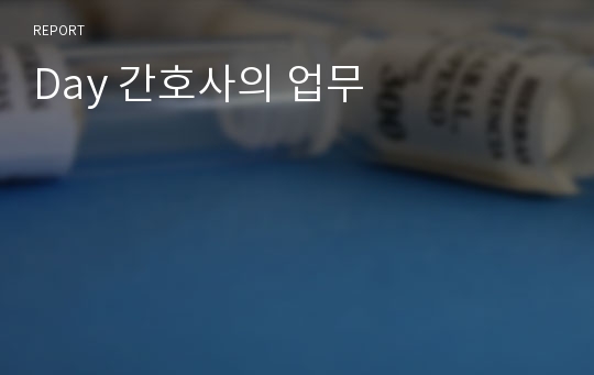 Day 간호사의 업무