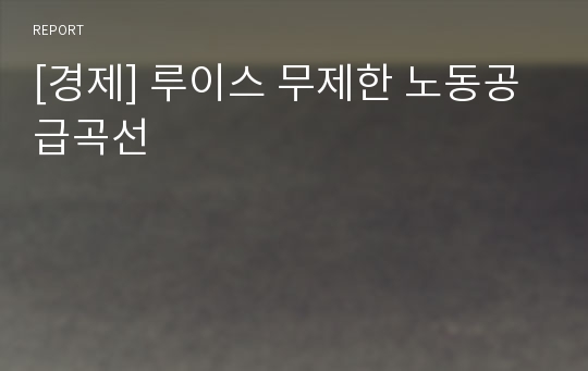 [경제] 루이스 무제한 노동공급곡선