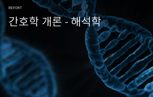 간호학 개론 - 해석학