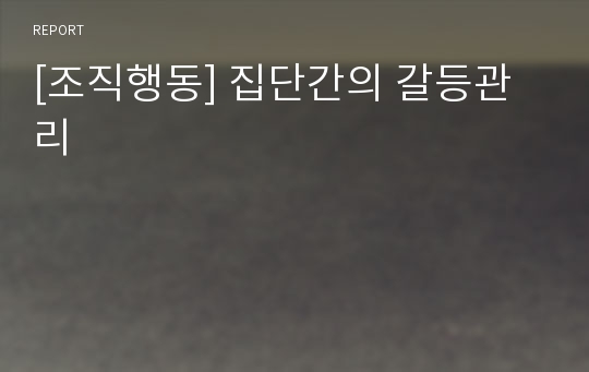 [조직행동] 집단간의 갈등관리