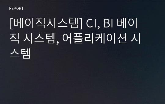 [베이직시스템] CI, BI 베이직 시스템, 어플리케이션 시스템