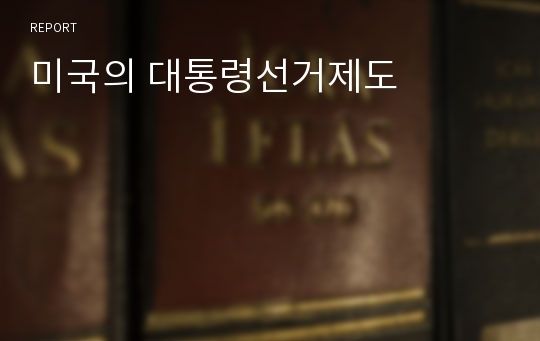 미국의 대통령선거제도