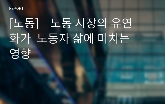 [노동]  노동 시장의 유연화가 노동자 삶에 미치는 영향