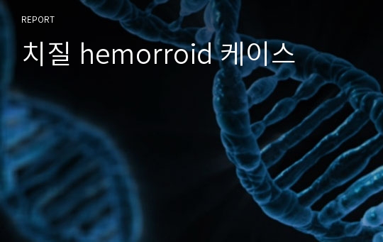 치질 hemorroid 케이스