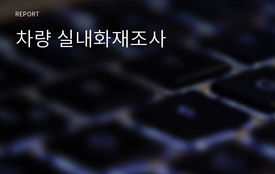 차량 실내화재조사