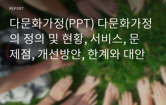 다문화가정(PPT) 다문화가정의 정의 및 현황, 서비스, 문제점, 개선방안, 한계와 대안