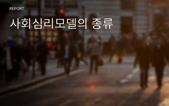 사회심리모델의 종류