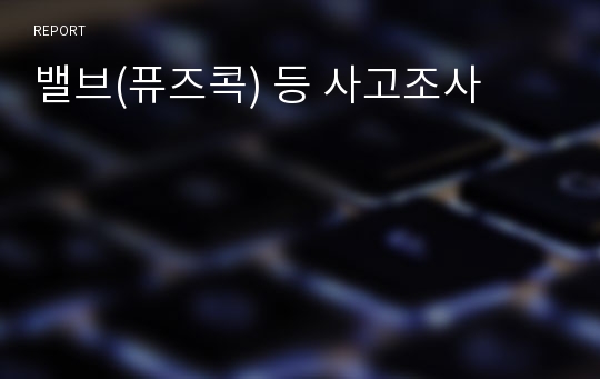 밸브(퓨즈콕) 등 사고조사