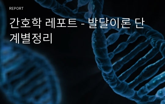 간호학 레포트 - 발달이론 단계별정리