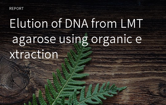 Elution of DNA from LMT agarose using organic extraction