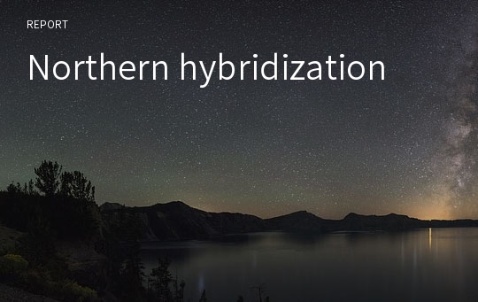 Northern hybridization