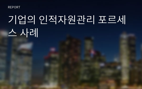 기업의 인적자원관리 포르세스 사례