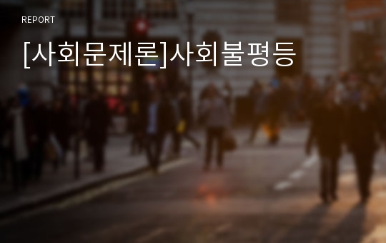 [사회문제론]사회불평등