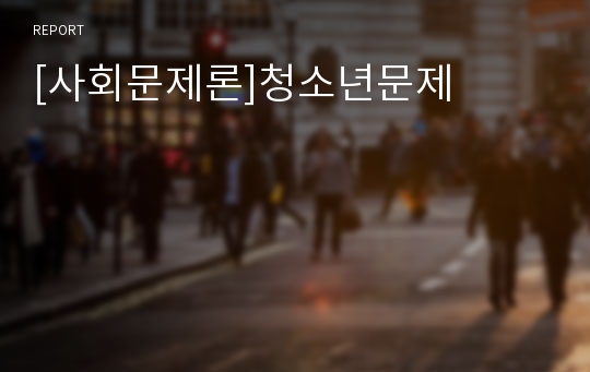 [사회문제론]청소년문제