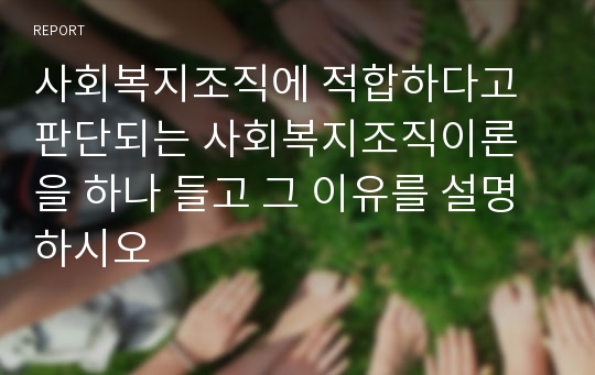 사회복지조직에 적합하다고 판단되는 사회복지조직이론을 하나 들고 그 이유를 설명하시오