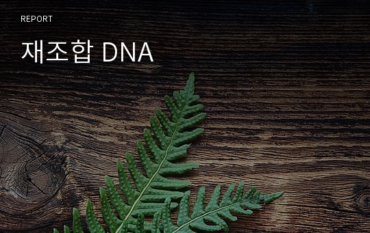 재조합 DNA