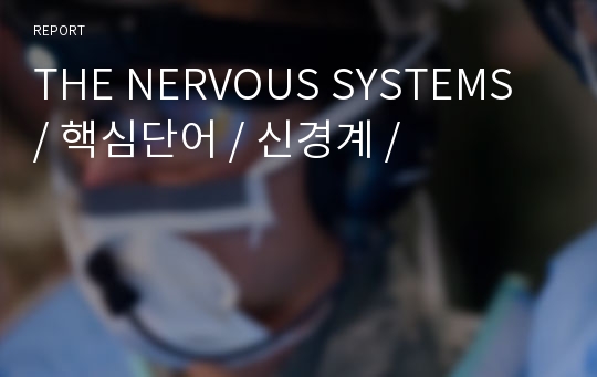 THE NERVOUS SYSTEMS / 핵심단어 / 신경계 /