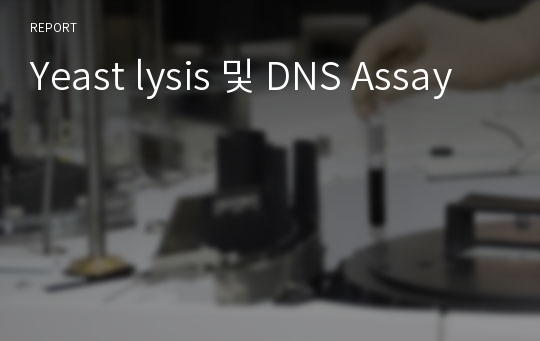 Yeast lysis 및 DNS Assay