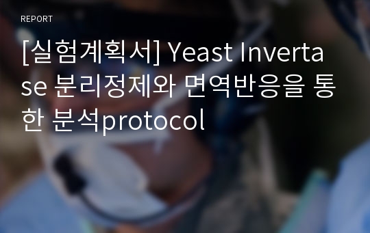 [실험계획서] Yeast Invertase 분리정제와 면역반응을 통한 분석protocol