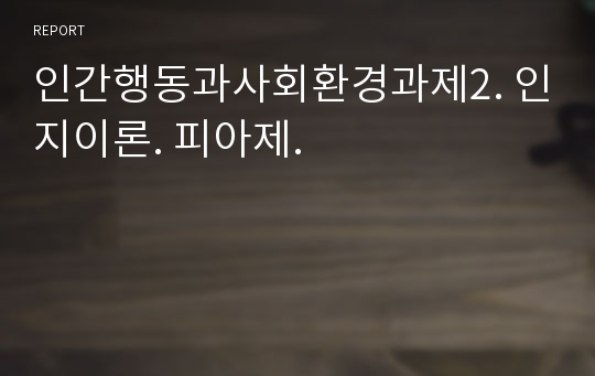 인간행동과사회환경과제2. 인지이론. 피아제.