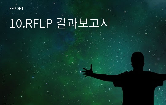 10.RFLP 결과보고서