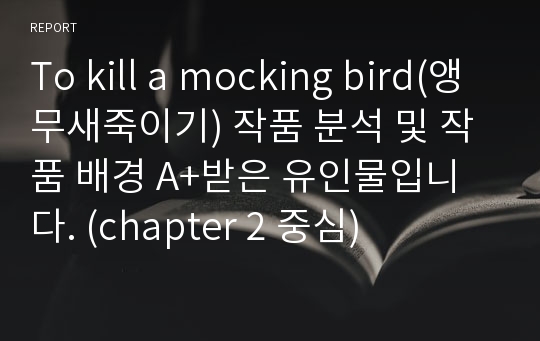 To kill a mocking bird(앵무새죽이기) 작품 분석 및 작품 배경 A+받은 유인물입니다. (chapter 2 중심)