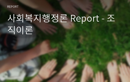 사회복지행정론 Report - 조직이론