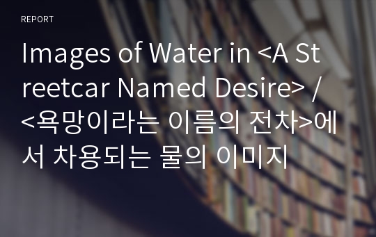 Images of Water in &lt;A Streetcar Named Desire&gt; / &lt;욕망이라는 이름의 전차&gt;에서 차용되는 물의 이미지