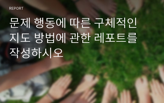 문제 행동에 따른 구체적인 지도 방법에 관한 레포트를 작성하시오