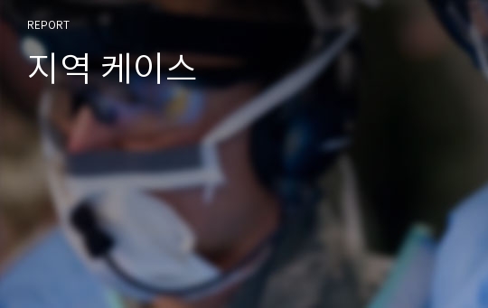 지역 케이스