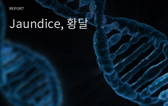 황달 Jaundice 내용