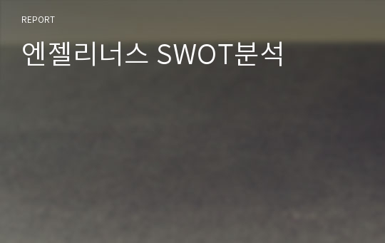 엔젤리너스 SWOT분석