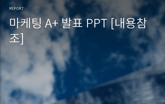 마케팅 A+ 발표 PPT [내용참조]