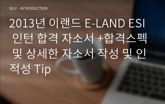 2013년 이랜드 E-LAND ESI 인턴 합격 자소서 +합격스펙 및 상세한 자소서 작성 및 인적성 Tip