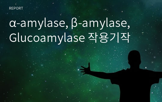 α-amylase, β-amylase, Glucoamylase 작용기작