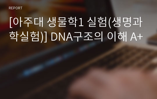 [아주대 생물학1 실험(생명과학실험)] DNA구조의 이해 A+