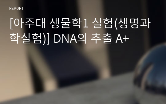 [아주대 생물학1 실험(생명과학실험)] DNA의 추출 A+