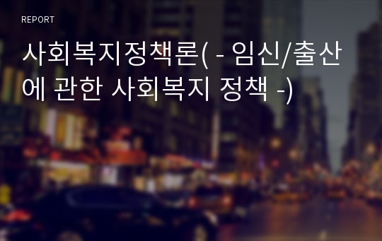 사회복지정책론( - 임신/출산에 관한 사회복지 정책 -)