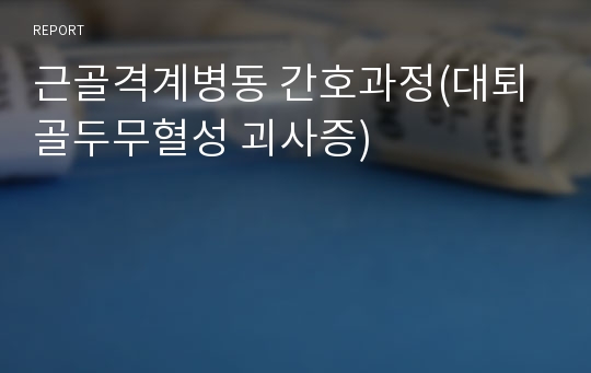 근골격계병동 간호과정(대퇴골두무혈성 괴사증)