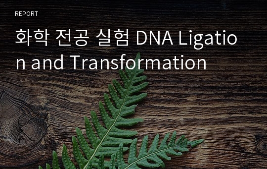 화학 전공 실험 DNA Ligation and Transformation