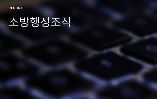 소방행정조직