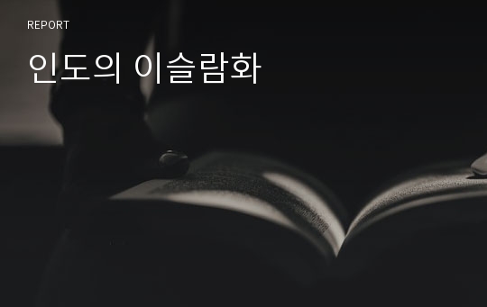 인도의 이슬람화