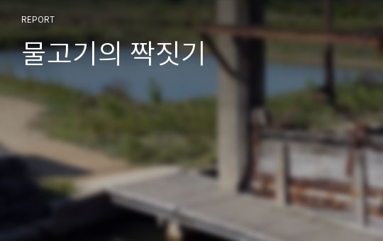 물고기의 짝짓기